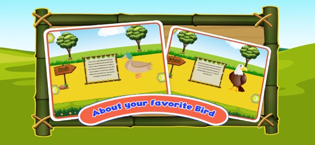 Bird Sounds Animal Kids Games