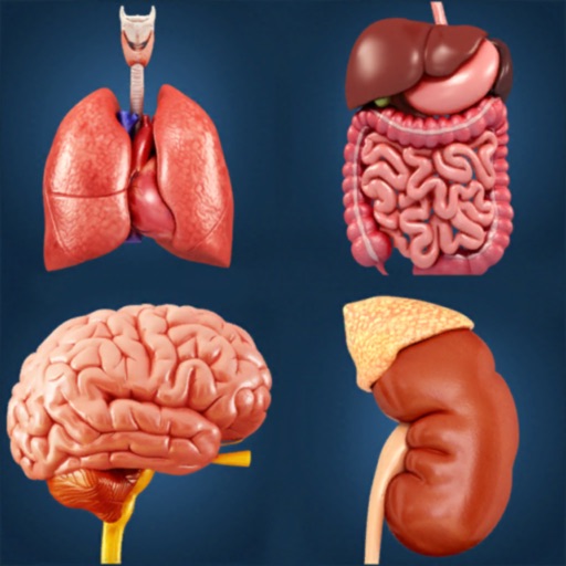 My Organs Anatomy for PC - Windows 7,8,10,11