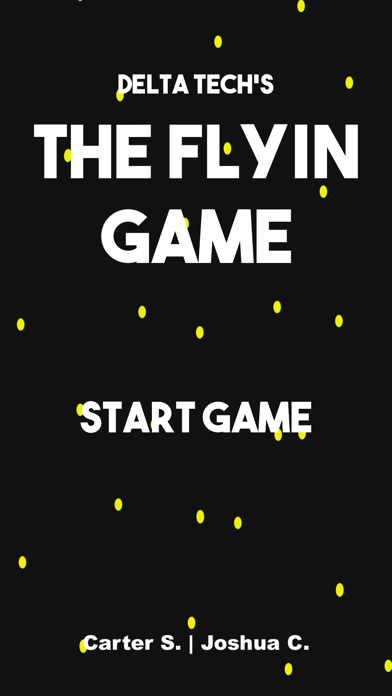 The Flyin Game screenshot 3