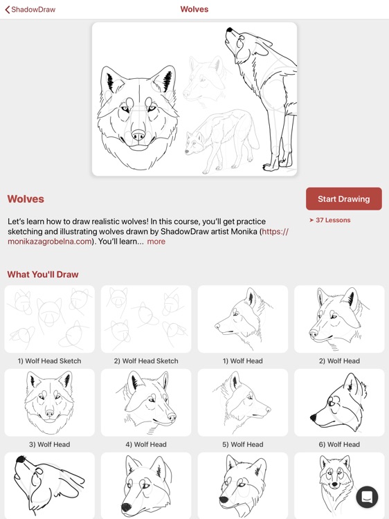ShadowDraw - Learn How to Draw