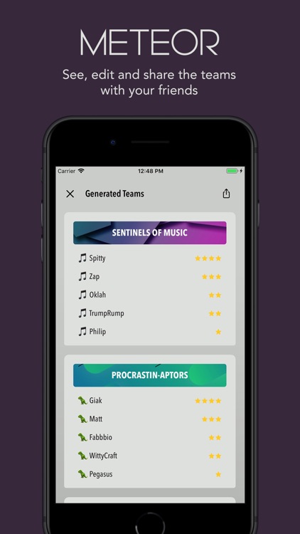 METEOR: Team Generator screenshot-3