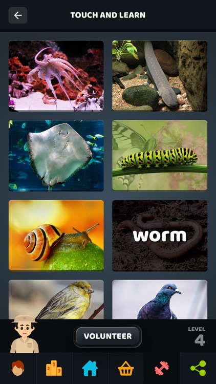 Animals Quiz Trivia screenshot-7