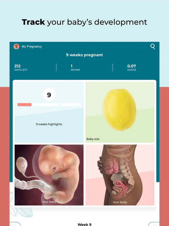 Pregnancy Tracker - BabyCenter iPad app afbeelding 2