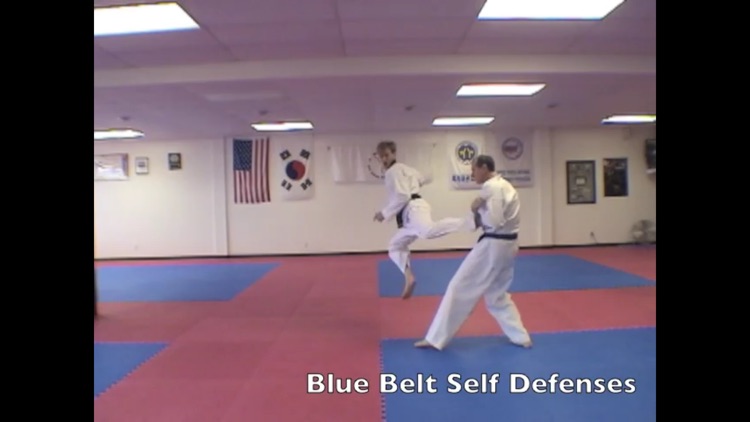 TKD Trainer screenshot-3