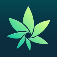 Contacter HiGrade: Cannabis Testing
