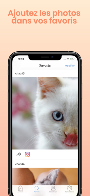 Photos chats mignons(圖4)-速報App