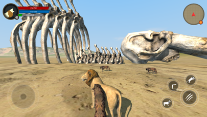 Wild Lion Survival Simulator screenshot 4