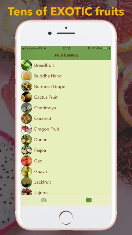 GO Fruits
