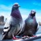 Enjoy the second part of the famous city bird survival simulator