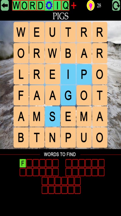 Word IQ Nature Plus screenshot-6