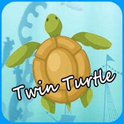 Twin Turtle