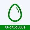 AP Calculus Practice Test Prep
