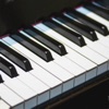 Real Piano - Play And Learn