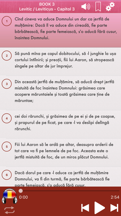 Romanian Holy Bible A... screenshot1