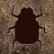 Bugging Out - Shooting Bugs