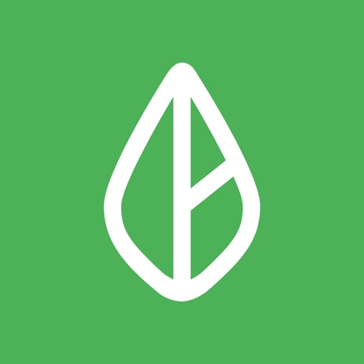 Branch: Banking & Instant Pay