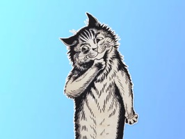 Cat Paintings - Cat Drawings