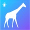 With Animal Safari AR, you can go on a safari in your own backyard