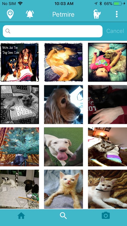 Petmire - Pet Community screenshot-3
