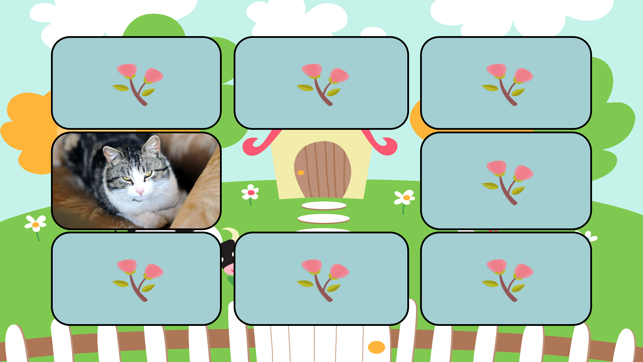 Learn Farm Animals(圖4)-速報App