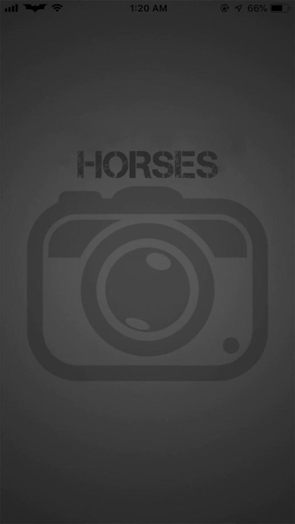 Horses - A Gift App