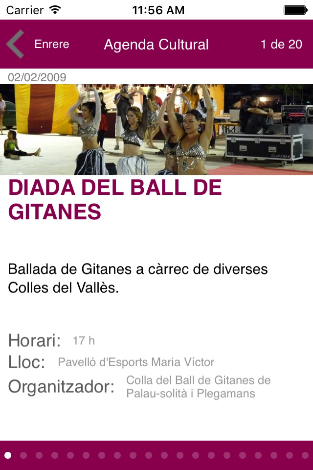 Ajuntament de Palau Plegamans screenshot 4