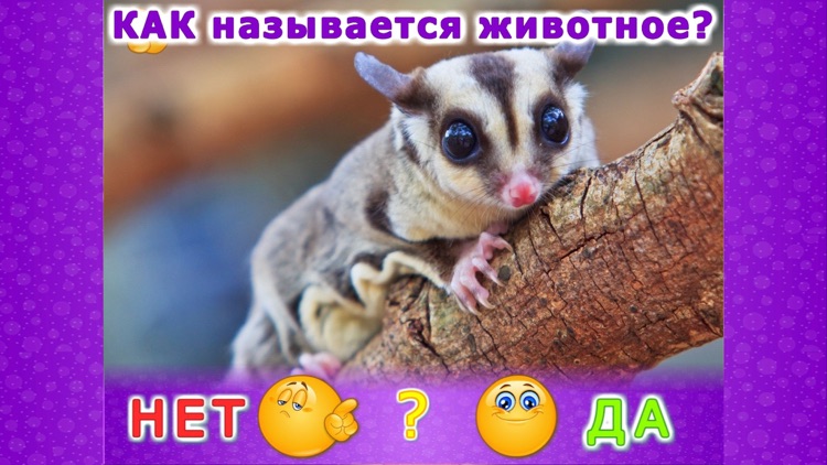 Животные для детей и малышей 2