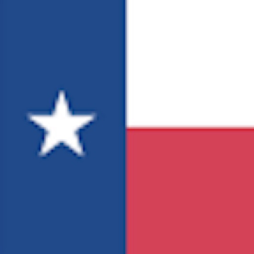 Texas Child Support Calc 2021