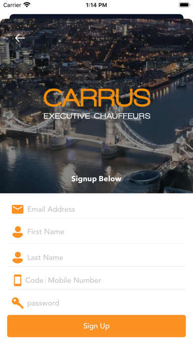 Carrus Exec screenshot 2