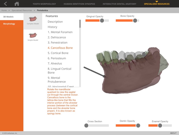 Tooth Atlas 8 screenshot-4