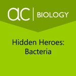 Hidden Heroes Bacteria