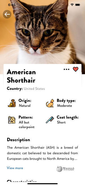 Cats Pedia: Breed identifier(圖2)-速報App