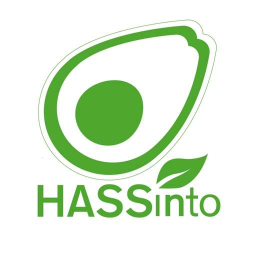 HASSinto icon
