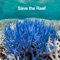 The beauty of the Great Barrier Reef can take your breath away, but the pressures on its future are real and immediate