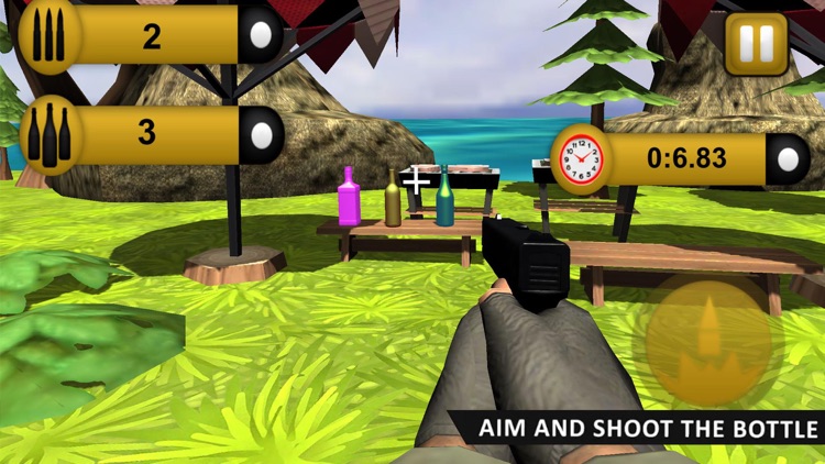 bottle target shooting game