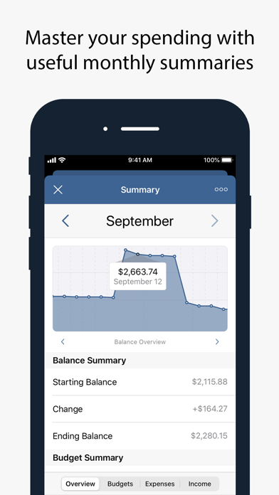 How to cancel & delete Numero: Personal Finance from iphone & ipad 4