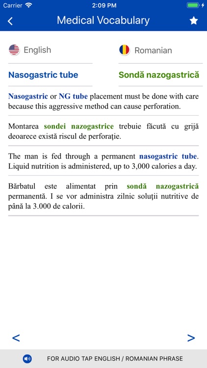 Medical Vocabulary Audio EN-RO screenshot-4