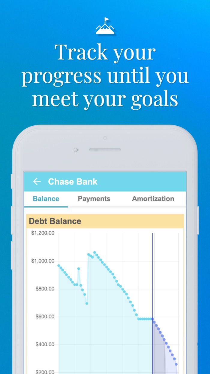 Debt Payoff Planner  Tracker