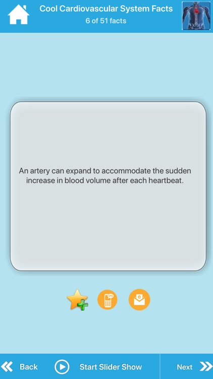 Cool Human Body Facts screenshot-3