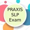This app is a combination of sets, containing practice questions, study cards, terms & concepts for self-learning & exam preparation on the topic of  Praxis Speech Language Pathology SLP