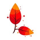 Top 36 Photo & Video Apps Like Autumn Photo Frames HD - Best Alternatives