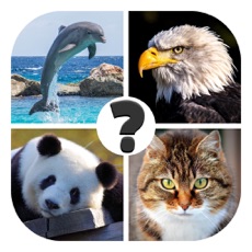 Activities of Animals quiz: guess the animal