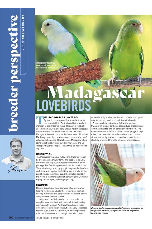 Australian BirdKeeper Magazine screenshot 4