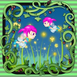 Wonder Fairies