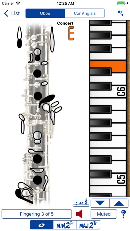 Fingering Woodwinds for iPhone