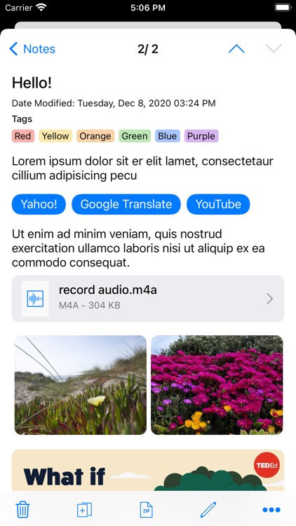 RedApp Web Browser screenshot-7