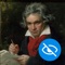 Die offizielle App der Bundeskunsthalle Bonn für blinde und sehbeeinträchtigte Besucher zur Ausstellung Beethoven Welt