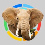 Animals 100 LITE - real animals