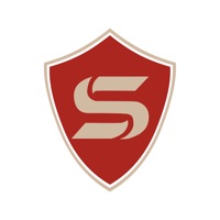 SynergyVPN