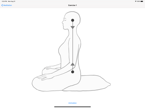 Meditation - 5 basic exercises screenshot 2